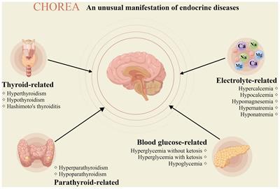 Chorea: An unusual manifestation of endocrine diseases